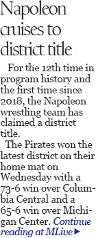 Napoleon cruises to wrestling district title 
