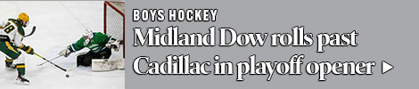 Dow hockey wins playoff opener