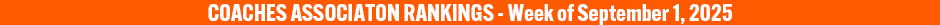 090325_athlete_logo_oragne_30x940_boys_tennis_rankings_copy.jpg