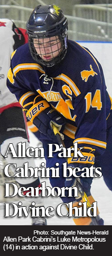 Allen Park Cabrini hockey downs Dearborn Divine Child