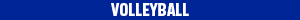 athlete_logo_blue_20x300_volleyball_copy.jpg