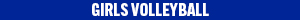 athlete_logo_blue_20x300_volleyball_girls_copy.jpg
